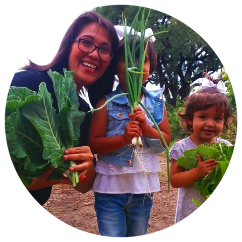 family with moringa plants
