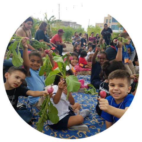 community gathering