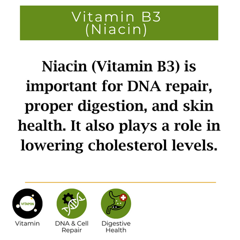 vitamin B3