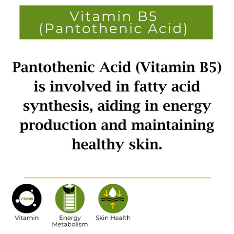 vitamin B5